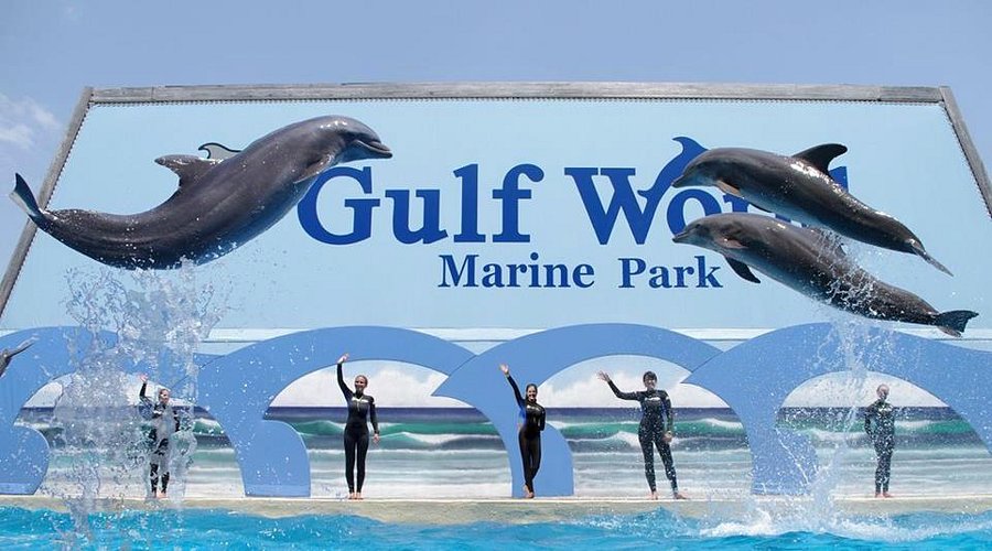 Gulf World Marine Park